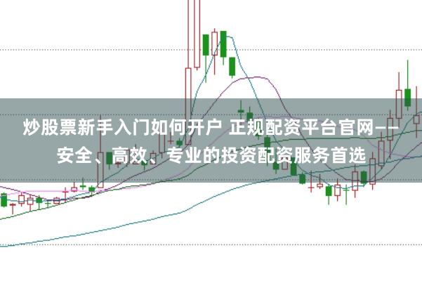 炒股票新手入门如何开户 正规配资平台官网——安全、高效、专业的投资配资服务首选