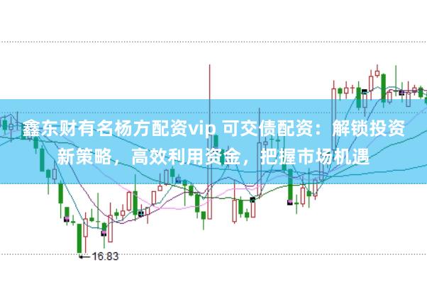 鑫东财有名杨方配资vip 可交债配资：解锁投资新策略，高效利用资金，把握市场机遇