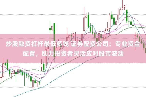 炒股融资杠杆最低多钱 证券配资公司：专业资金配置，助力投资者灵活应对股市波动