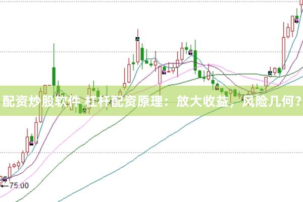 配资炒股软件 杠杆配资原理：放大收益，风险几何？