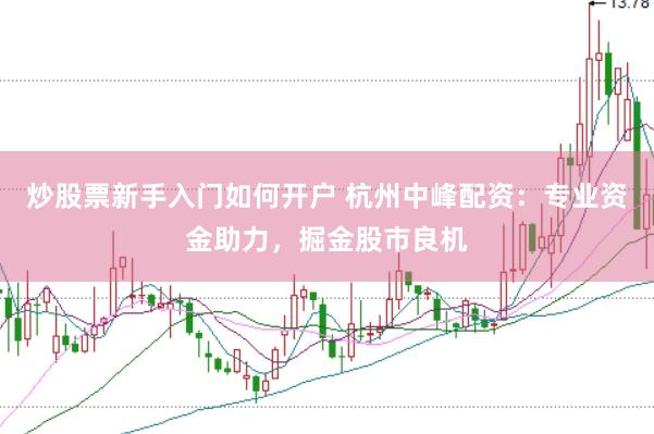 炒股票新手入门如何开户 杭州中峰配资：专业资金助力，掘金股市良机