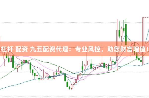 杠杆 配资 九五配资代理：专业风控，助您财富增值！