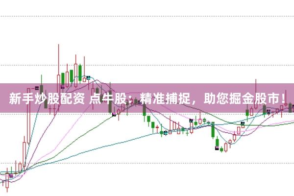 新手炒股配资 点牛股：精准捕捉，助您掘金股市！