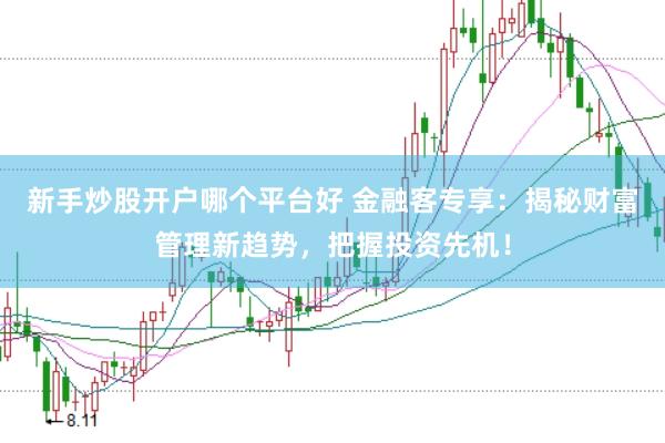 新手炒股开户哪个平台好 金融客专享：揭秘财富管理新趋势，把握投资先机！