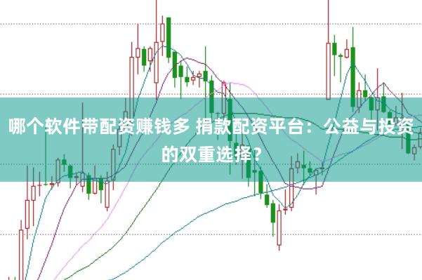 哪个软件带配资赚钱多 捐款配资平台：公益与投资的双重选择？