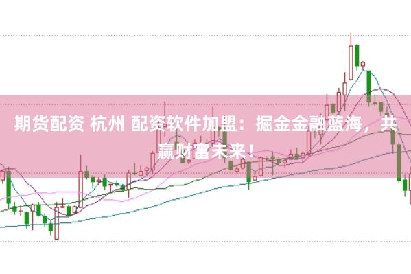 期货配资 杭州 配资软件加盟：掘金金融蓝海，共赢财富未来！