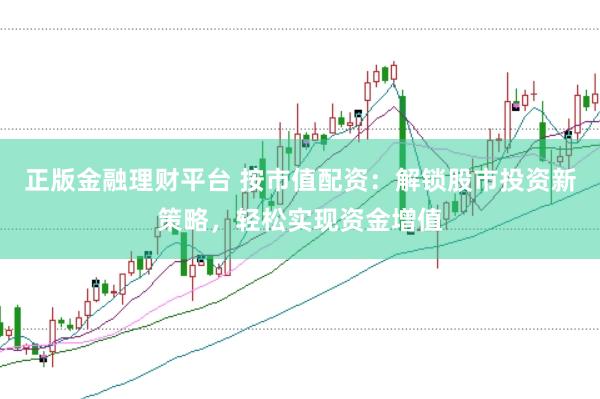 正版金融理财平台 按市值配资：解锁股市投资新策略，轻松实现资金增值