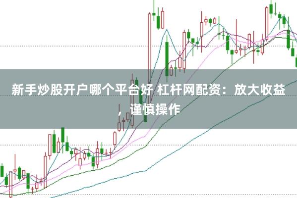 新手炒股开户哪个平台好 杠杆网配资：放大收益，谨慎操作