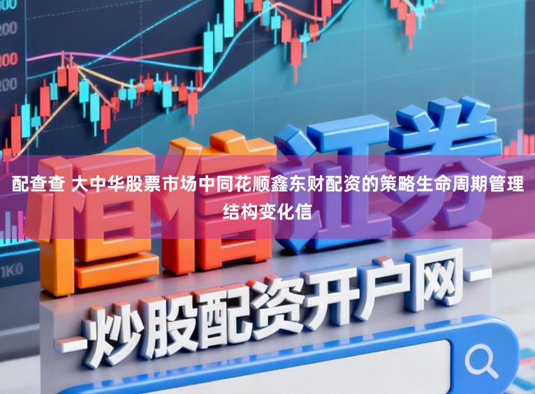 配查查 大中华股票市场中同花顺鑫东财配资的策略生命周期管理结构变化信