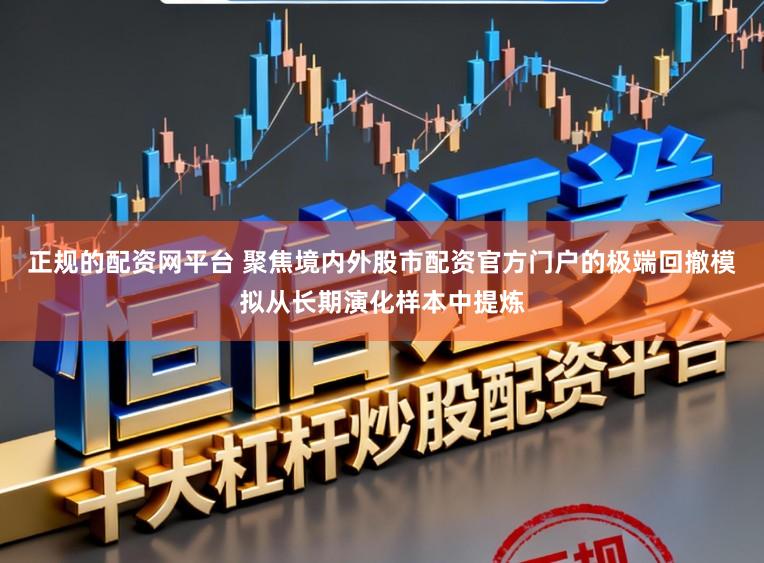 正规的配资网平台 聚焦境内外股市配资官方门户的极端回撤模拟从长期演化样本中提炼