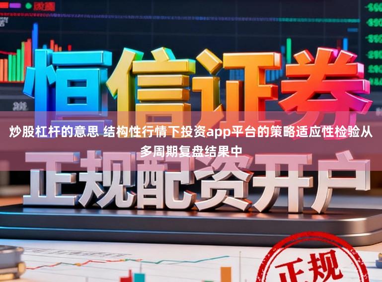 炒股杠杆的意思 结构性行情下投资app平台的策略适应性检验从多周期复盘结果中