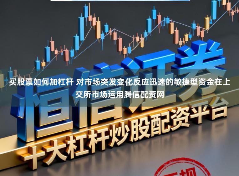 买股票如何加杠杆 对市场突发变化反应迅速的敏捷型资金在上交所市场运用腾信配资网