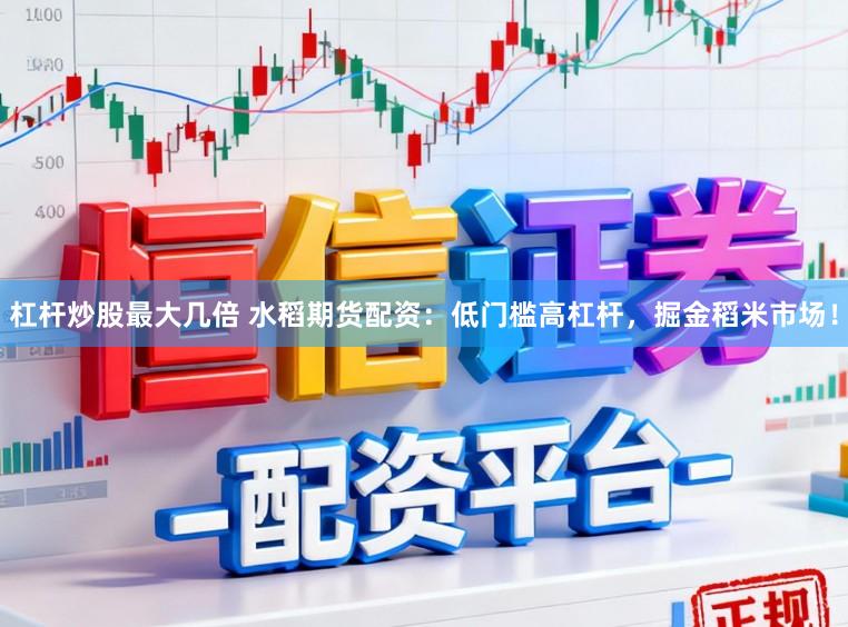 杠杆炒股最大几倍 水稻期货配资：低门槛高杠杆，掘金稻米市场！